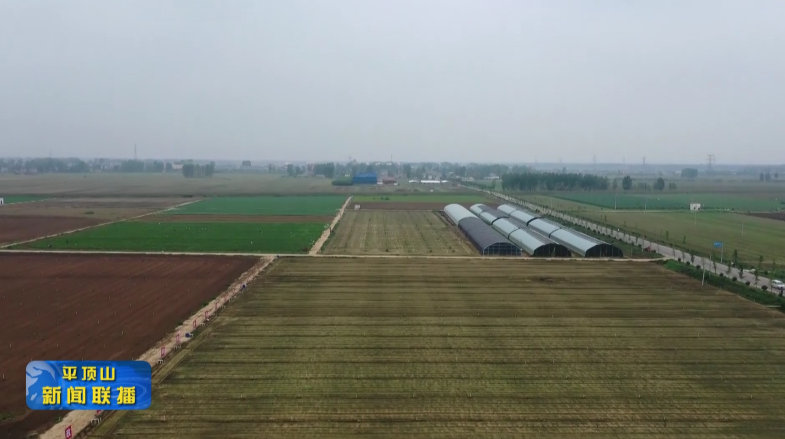 圖片12.png 圖片12.png