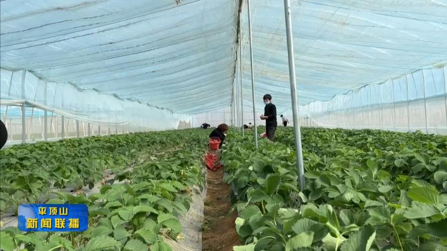 微信截圖_20220325184356.jpg 微信截圖_20220325184356.jpg