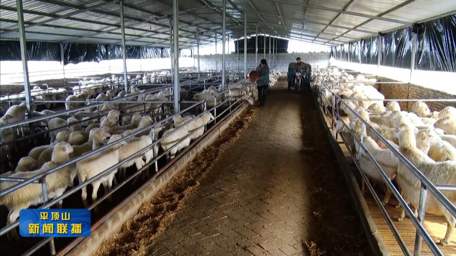 微信截圖_20220325184611.jpg 微信截圖_20220325184611.jpg