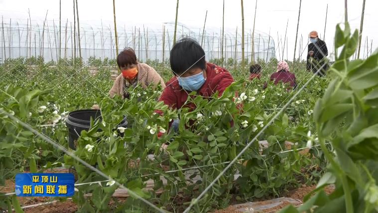 微信截圖_20220421184647.jpg 微信截圖_20220421184647.jpg