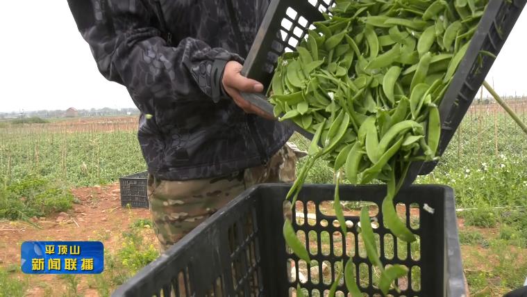 微信截圖_20220421184722.jpg 微信截圖_20220421184722.jpg