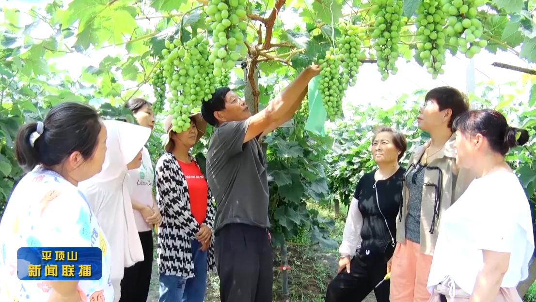 微信截圖_20220708180920.png 微信截圖_20220708180920.png