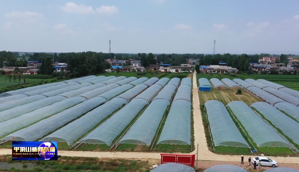 農業農村1.png 農業農村1.png