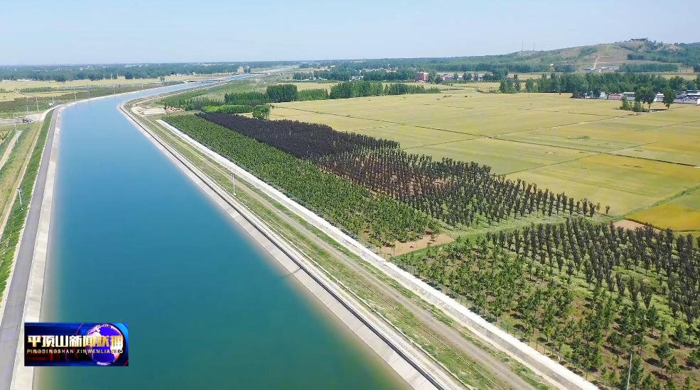 石龍4.png 石龍4.png