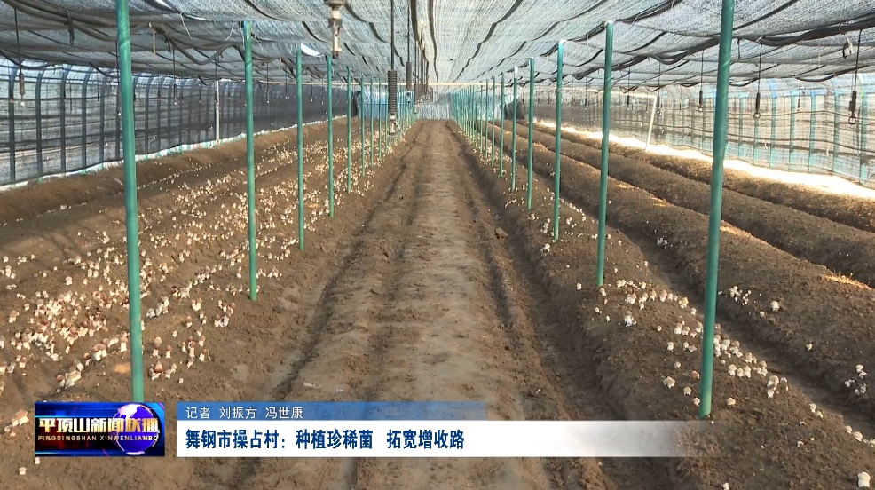 舞鋼.png 舞鋼.png