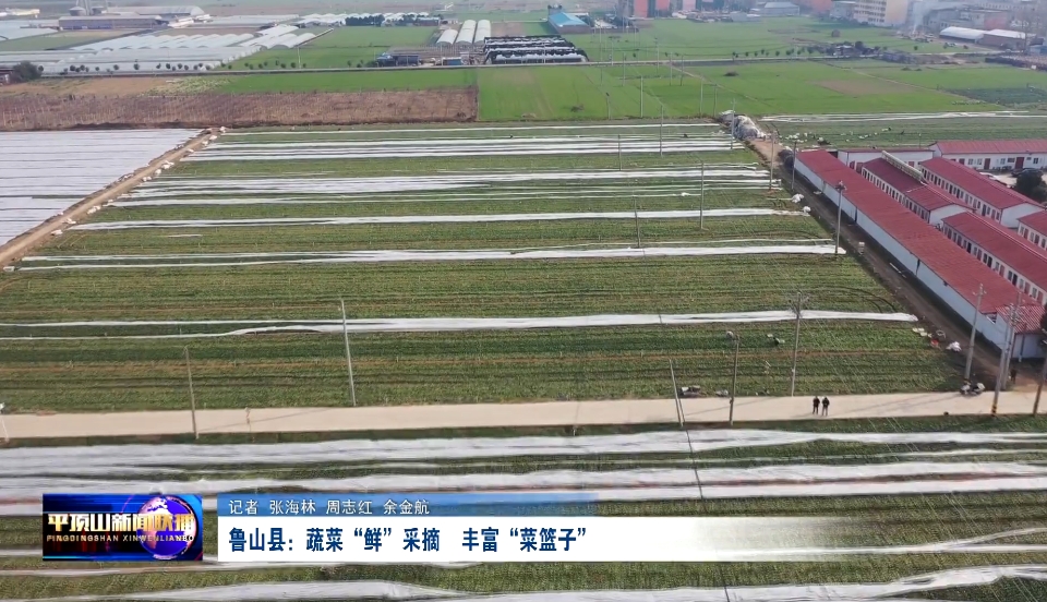 魯山.png 魯山.png