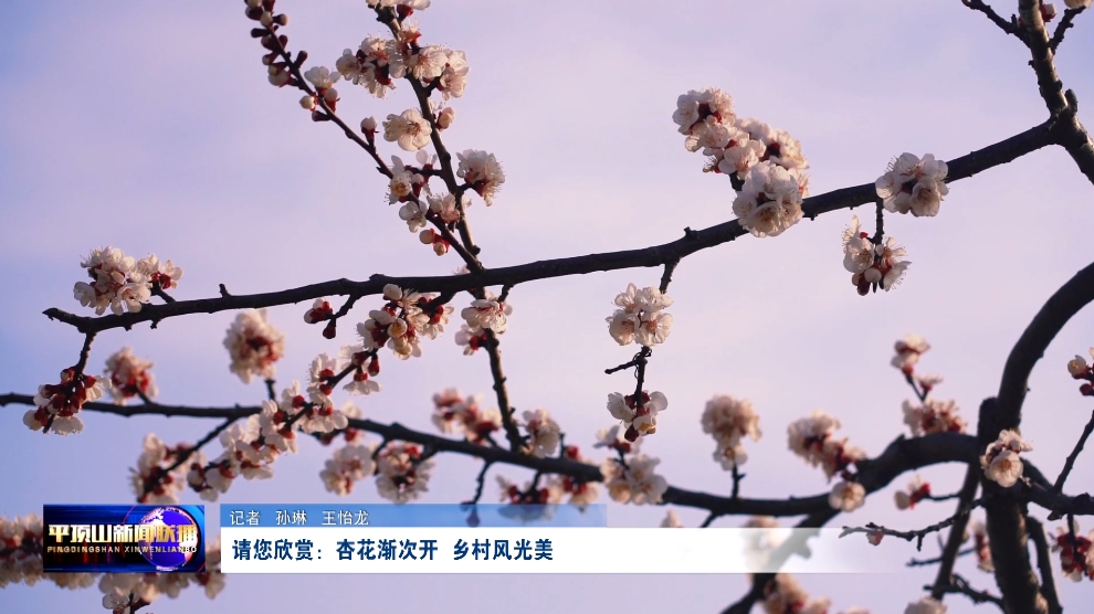 微信截圖_20250313165735.png 微信截圖_20250313165735.png