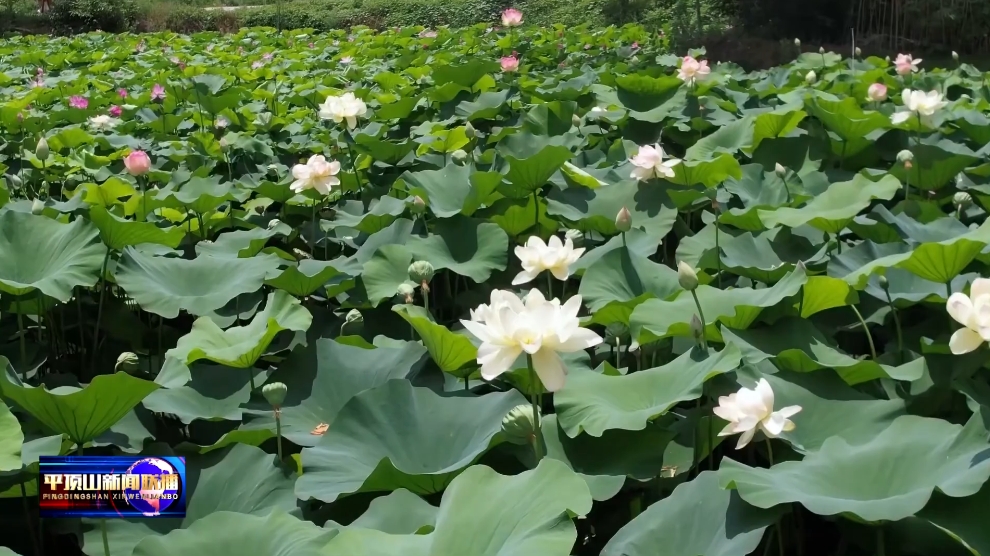 微信截圖_20250714164347.png 微信截圖_20250714164347.png